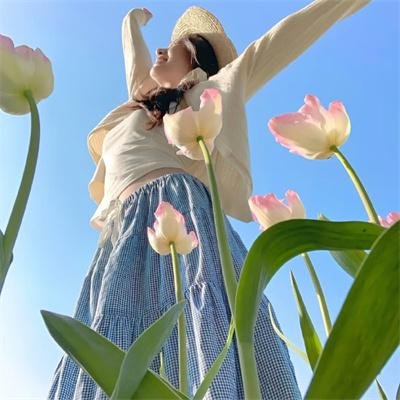 秋月春花